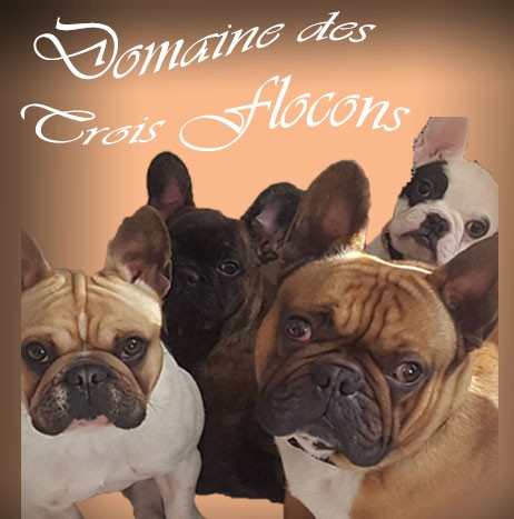Du Domaine Des Trois Flocons